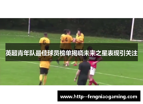 英超青年队最佳球员榜单揭晓未来之星表现引关注 英超青年队最佳球员榜单揭晓未来之星表现引关注