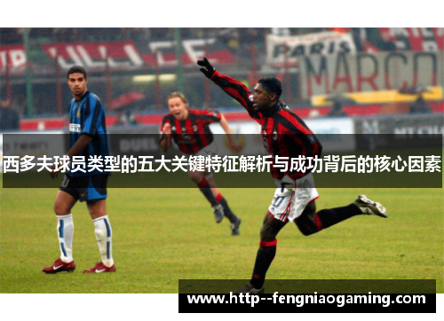西多夫球员类型的五大关键特征解析与成功背后的核心因素 西多夫球员类型的五大关键特征解析与成功背后的核心因素
