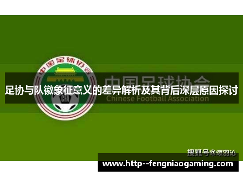 足协与队徽象征意义的差异解析及其背后深层原因探讨