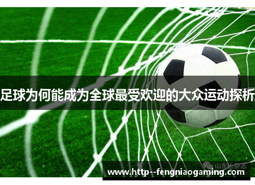 足球为何能成为全球最受欢迎的大众运动探析