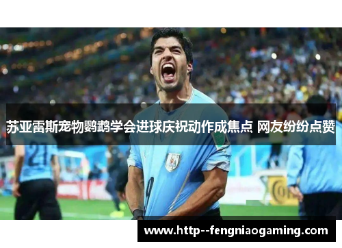 苏亚雷斯宠物鹦鹉学会进球庆祝动作成焦点 网友纷纷点赞