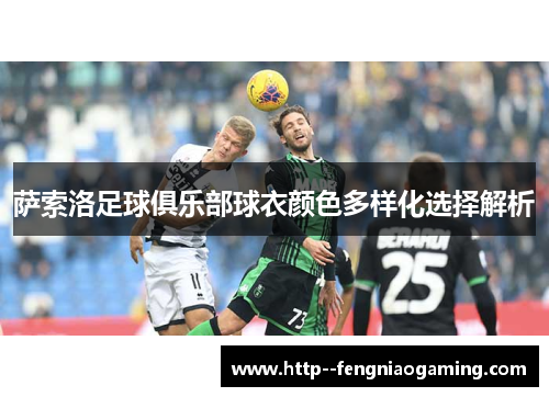 萨索洛足球俱乐部球衣颜色多样化选择解析