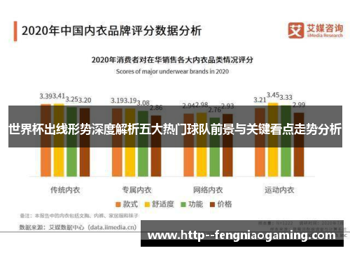 世界杯出线形势深度解析五大热门球队前景与关键看点走势分析