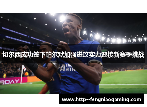 切尔西成功签下帕尔默加强进攻实力迎接新赛季挑战